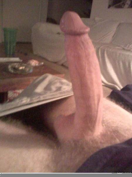 Image #2984